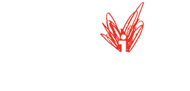 IndieBound